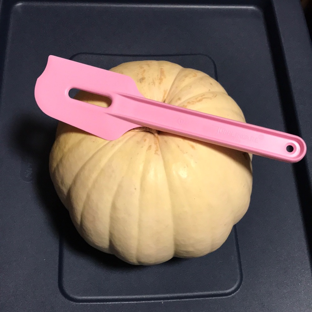 TUPPERWARE SPATULA